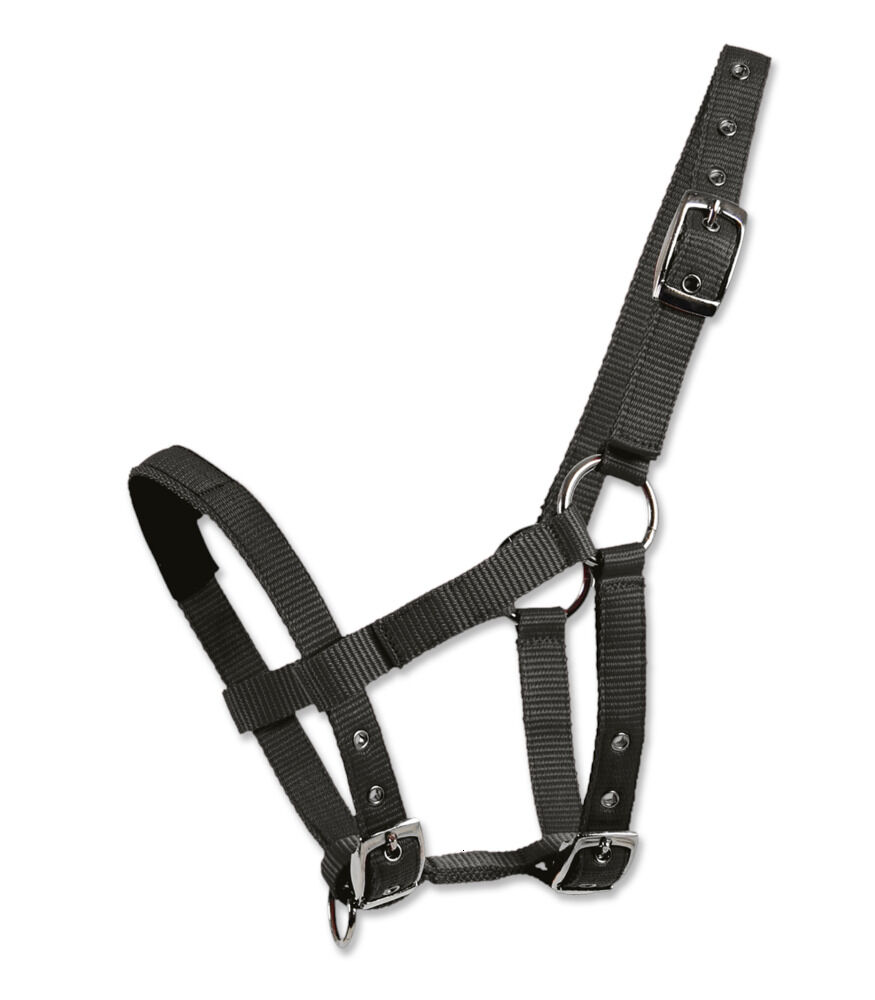 Waldhausen Mini - Halster - Shetlander - Zwart