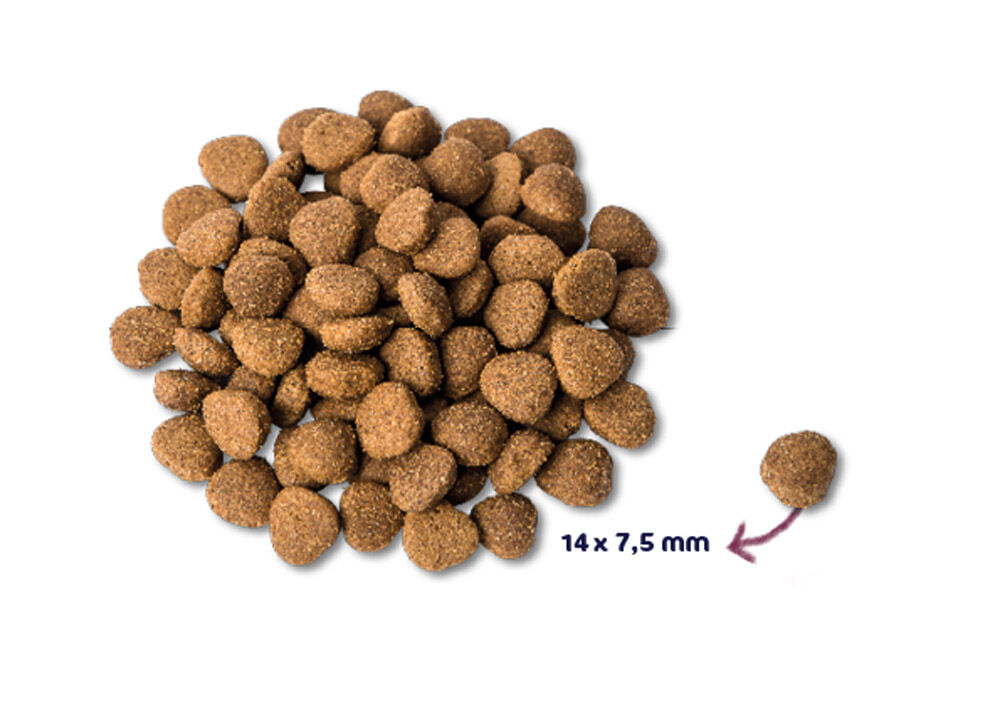 Renske Adult - Hondenvoer - Kalkoen - Eend - 12 kg