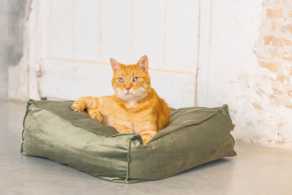 Designed by Lotte Velveti Kat - Kussen - 16.00 cm - Groen - 56.00 cm - 56.00 cm