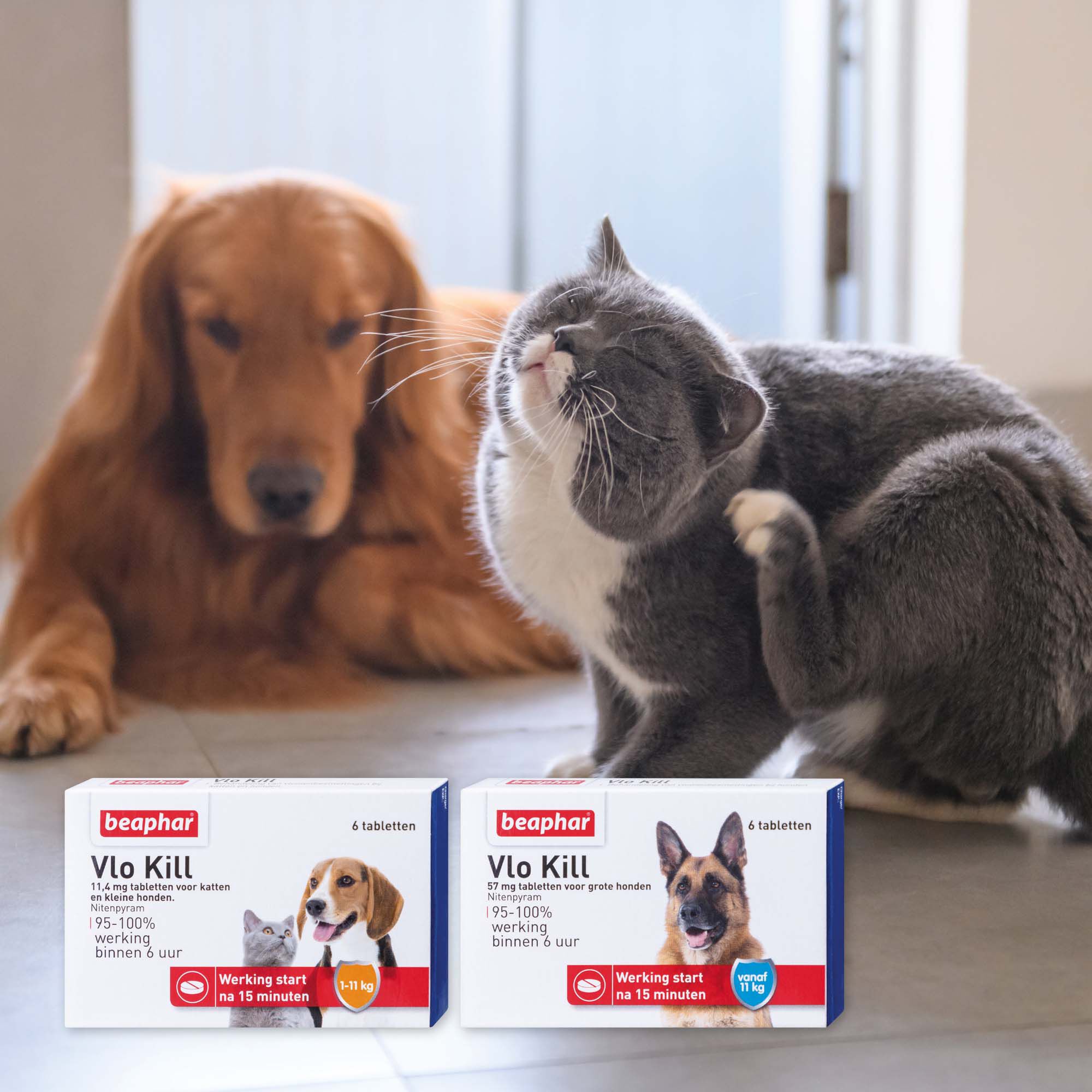 Beaphar Vlo Kill Hond en Kat tot 11kg - Vlooienmiddel