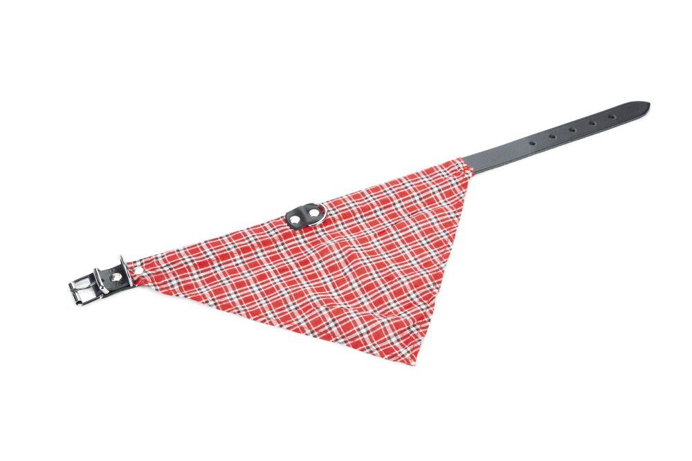 Beeztees - Halsband Hond - 56 cm - 30.00 cm - ROOD - 4.50 cm - Extra large - 2.00 cm Beeztees - Halsband Hond - 56 cm - 30.00 cm - ROOD - 4.50 cm - Extra large - 2.00 cm