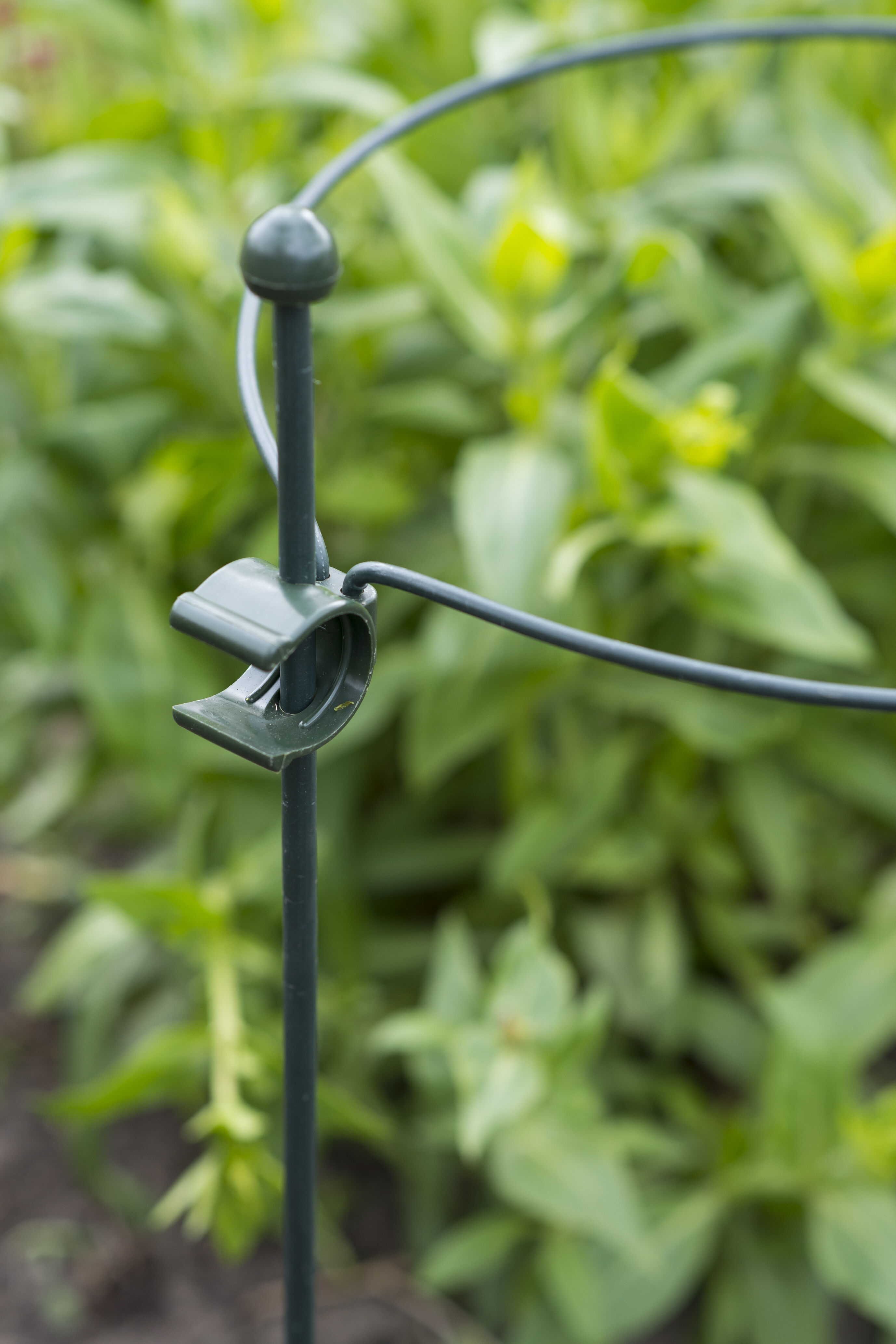 Nature Plantenstok Koppelbaar - Klim- en Geleide Artikelen - 81.30 cm - 75.00 - 4.50 cm - 75.00 cm - 3.00 cm Nature Plantenstok Koppelbaar - Klim- en Geleide Artikelen - 81.30 cm - 75.00 - 4.50 cm - 75.00 cm - 3.00 cm