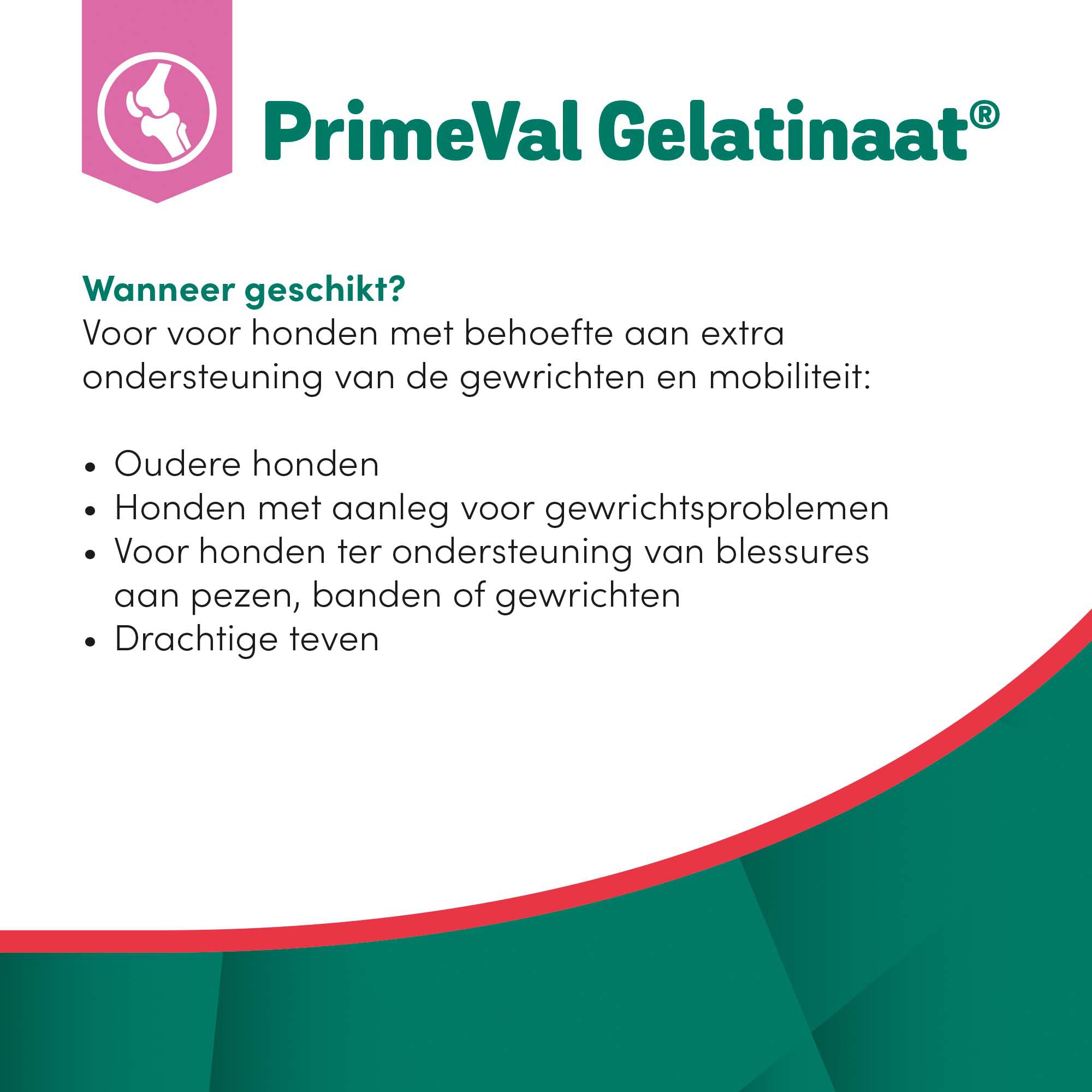 Primeval Gelatinaat - Soepele gewrichten Hond - 15.00 cm - 500.00 - 12.10 cm - 12.10 cm