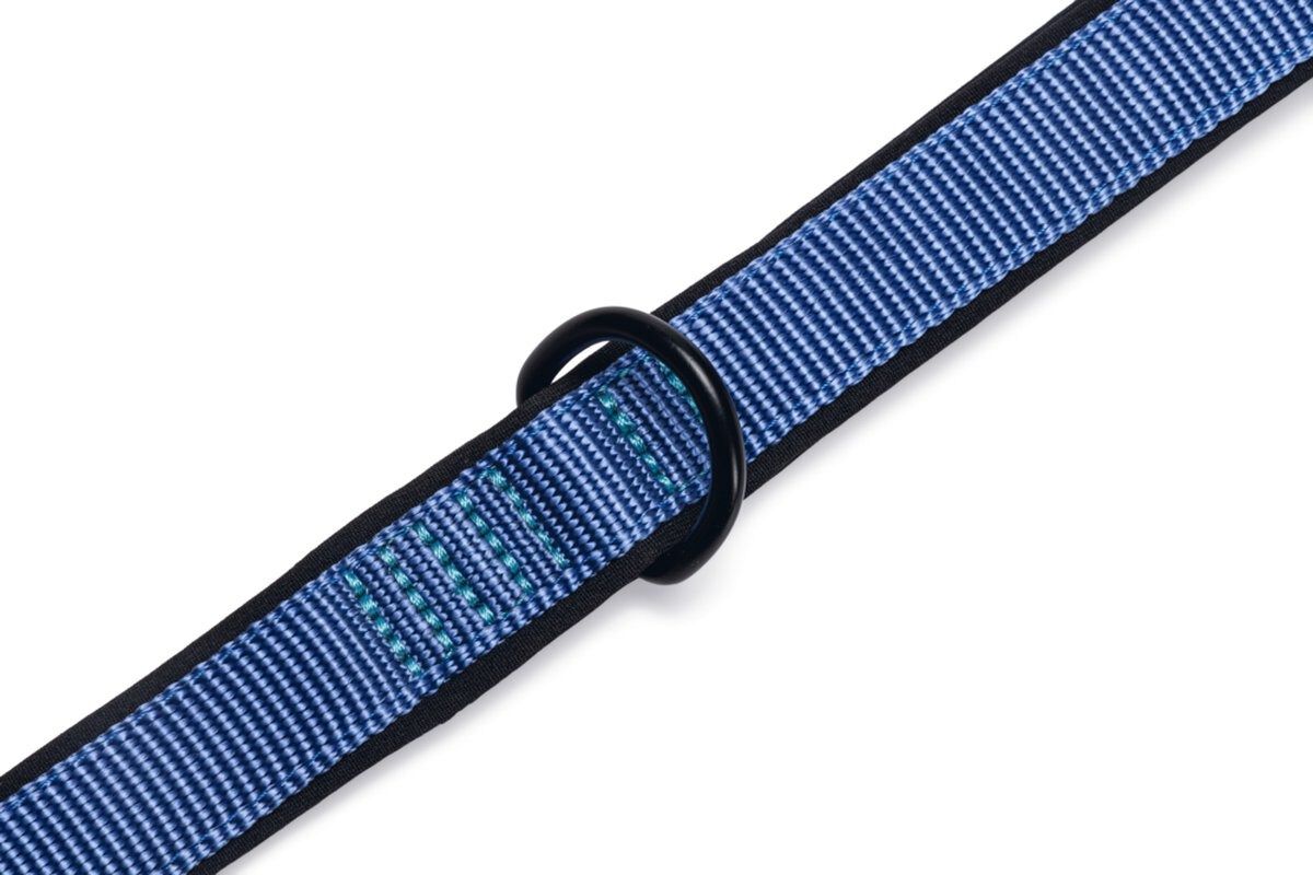 Beeztees Parinca Hondenriem - 25.00 cm - Blauw - 4.50 cm - Large - 300.00 cm - 2.00 cm