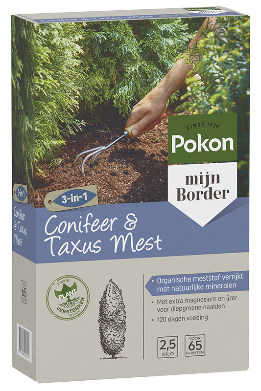 Pokon Conifeer & Taxusvoeding - Siertuinmeststof -