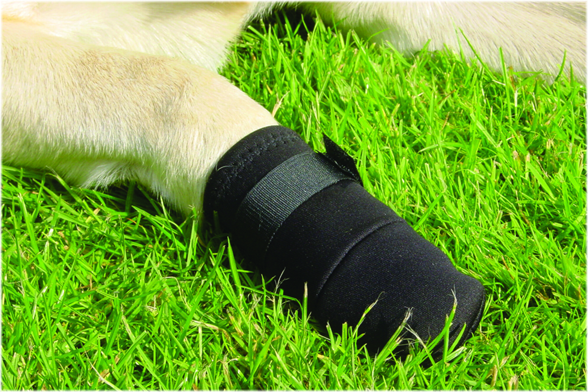 Beeztees - Beschermingsschoen Hond - 26.00 cm - 13.80 cm - S - 4.00 cm Beeztees - Beschermingsschoen Hond - 26.00 cm - 13.80 cm - S - 4.00 cm