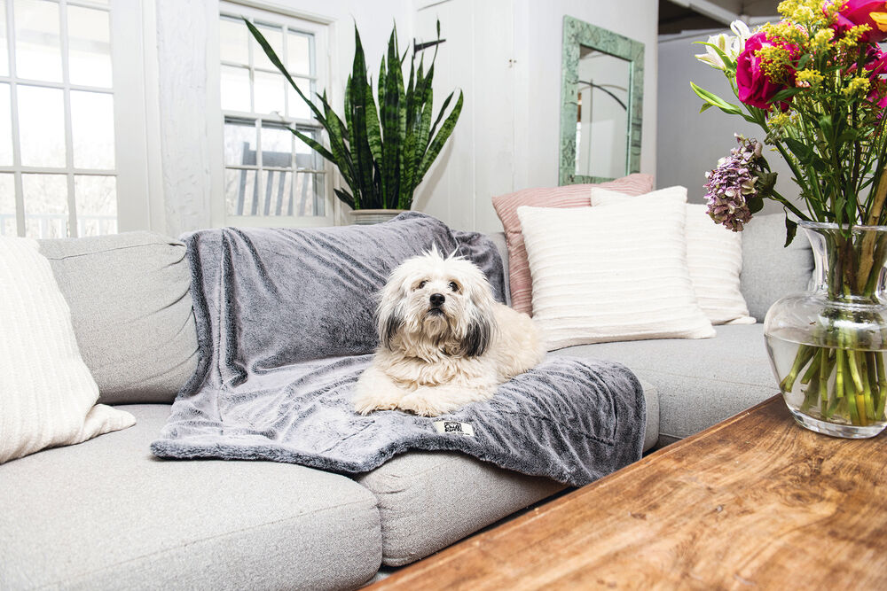 Dog Gone Smart Nano Chill Kuzzi Infrarood - Hondendeken - 1.00 cm - Grijs - 102.00 cm - Groot - 76.00 cm