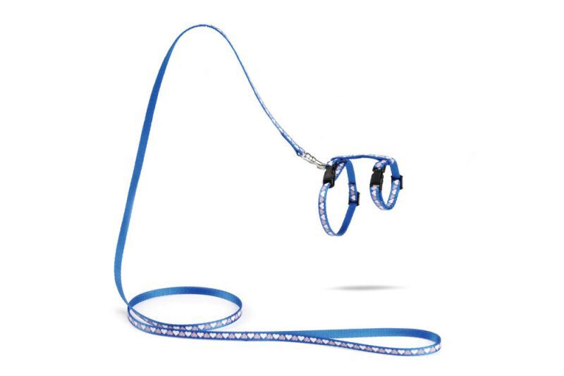 Beeztees Hearts - Kittentuigje - 20.50 cm - Blauw - 10 mm - 13.10 cm - 100.00 cm - 4.50 cm