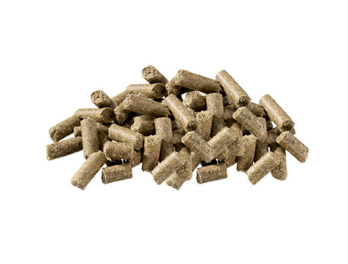 Pavo All Sports  - Sport/ Prestatie - Paardenvoer - 20 kg - Zak