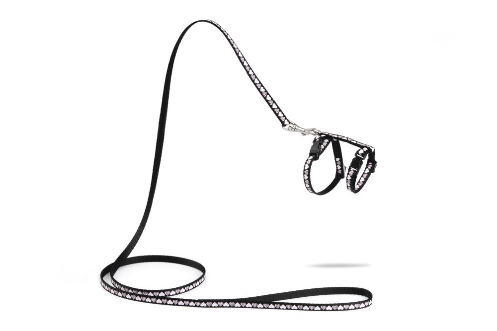 Beeztees Hearts - Kittentuigje - 23 cm - 20.50 cm - Zwart - 10 mm - 13.10 cm - 16.00 cm - 100.00 cm - 4.50 cm