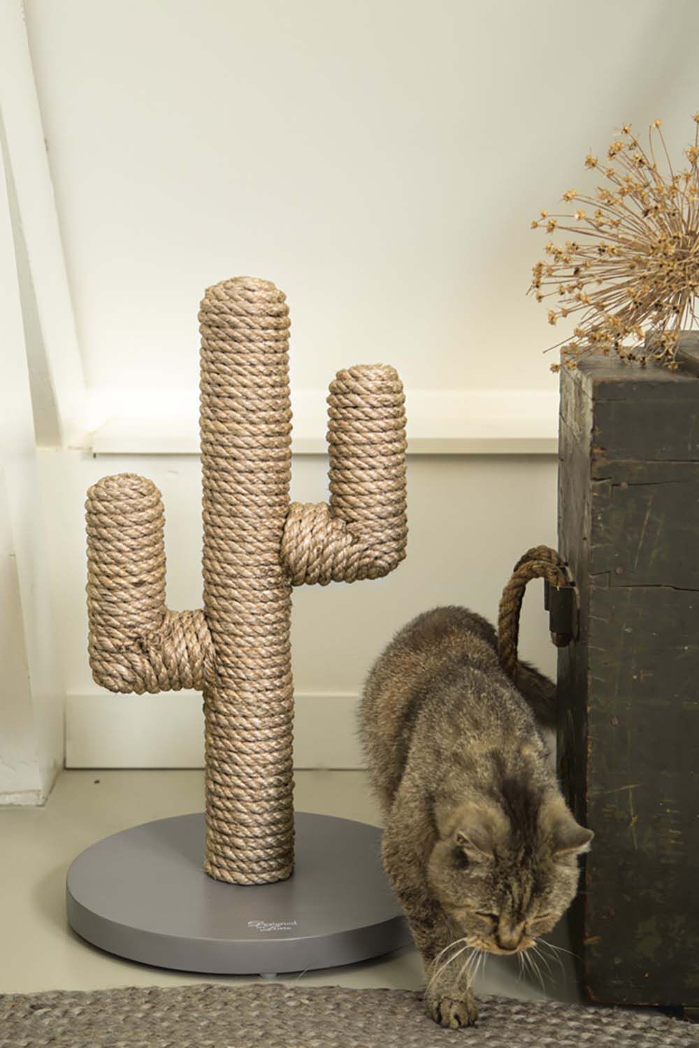 Designed by Lotte Cactus - Krabpaal - 1.00 cm - Taupe - 35.00 cm - 1.00 cm