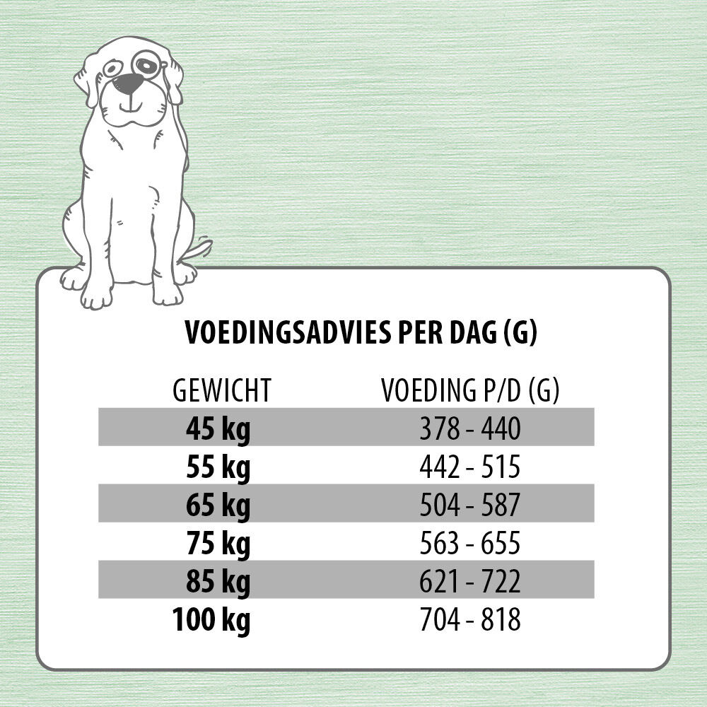 Jarco Dog Giant Senior - Hondenvoer - Lam - Rijst - 3 kg