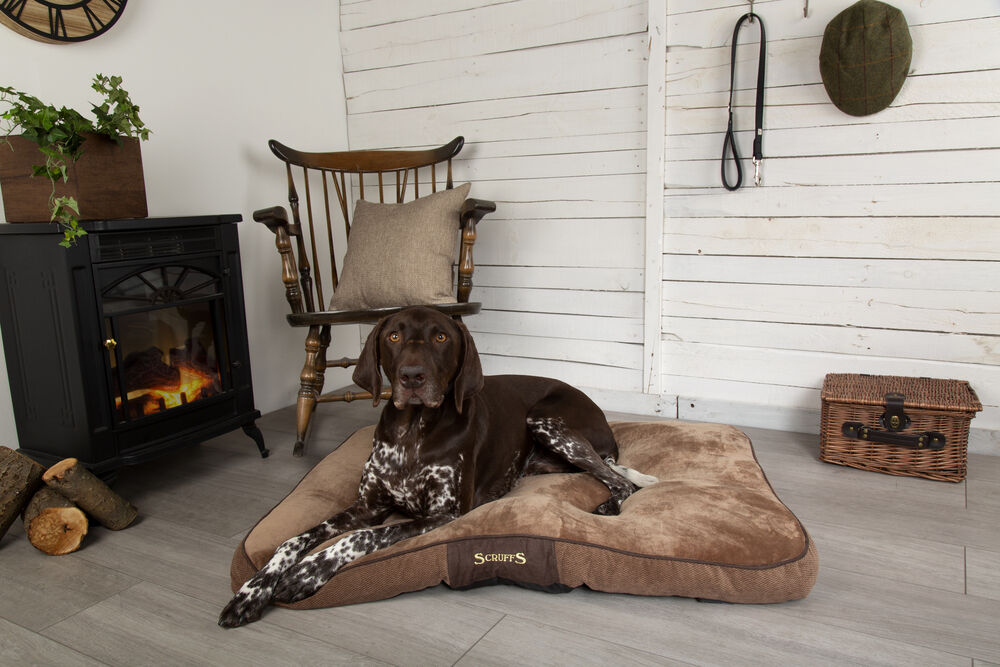 Scruffs Chester - Hondenkussen - 1.00 cm - Bruin - 1.00 cm - Groot - 1.00 cm