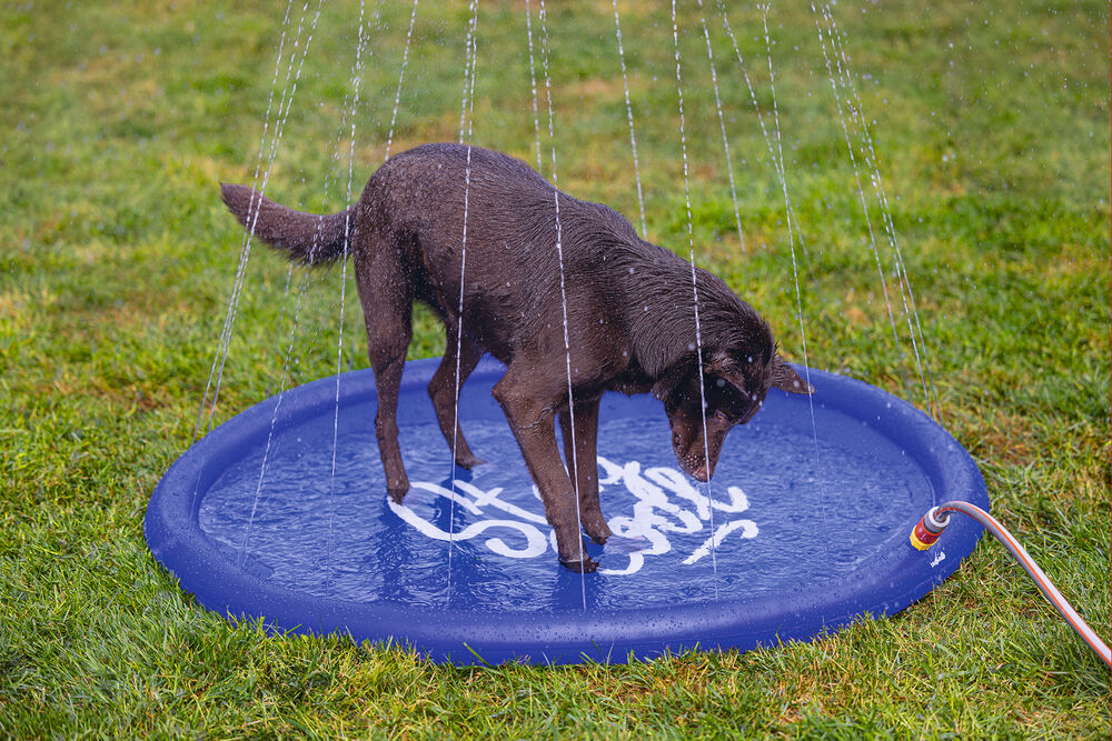 Beeztees Stay cool - Sprinkler mat -Waterspeelgoed hond - 27.80 cm - Blauw - 22.20 cm - 100.00 cm - 4.70 cm