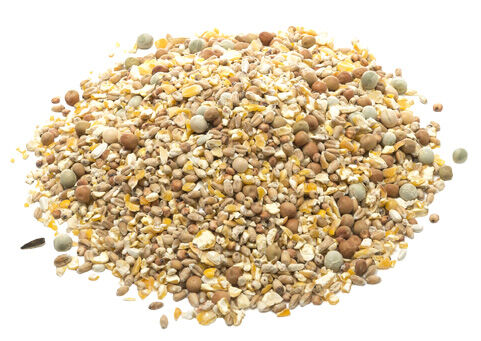 Welkoop sierduivenvoer - 5 kg